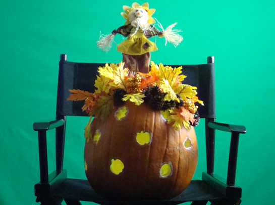 Harvest - 3rd Annual Pumpkin Carving Contest Winner!