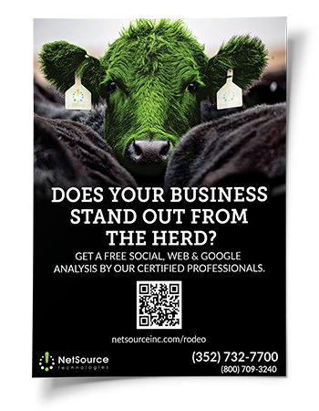 rodeo ad for NetSource